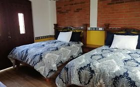 Hotel Y Suites Axolotl